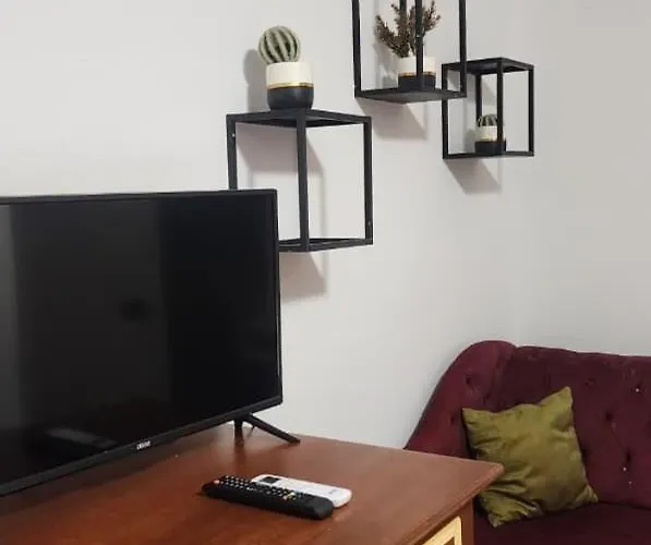 Artist